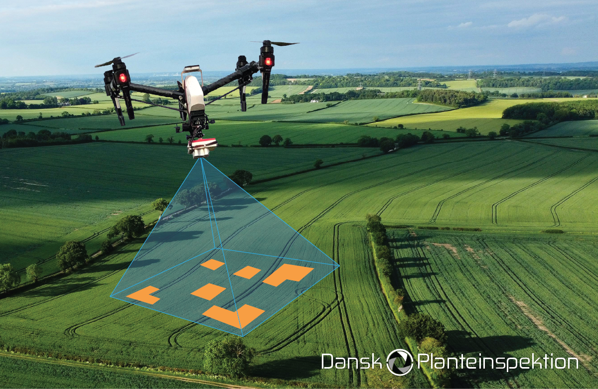 Drone-inspektion af marker – Dansk Planteinspektion Drone med sensor flyver over grønne marker og scanner et område, hvor fund er markeret med orange felter.
